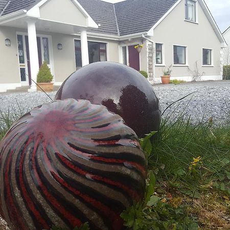 Ely House B&B Shannonbridge Esterno foto