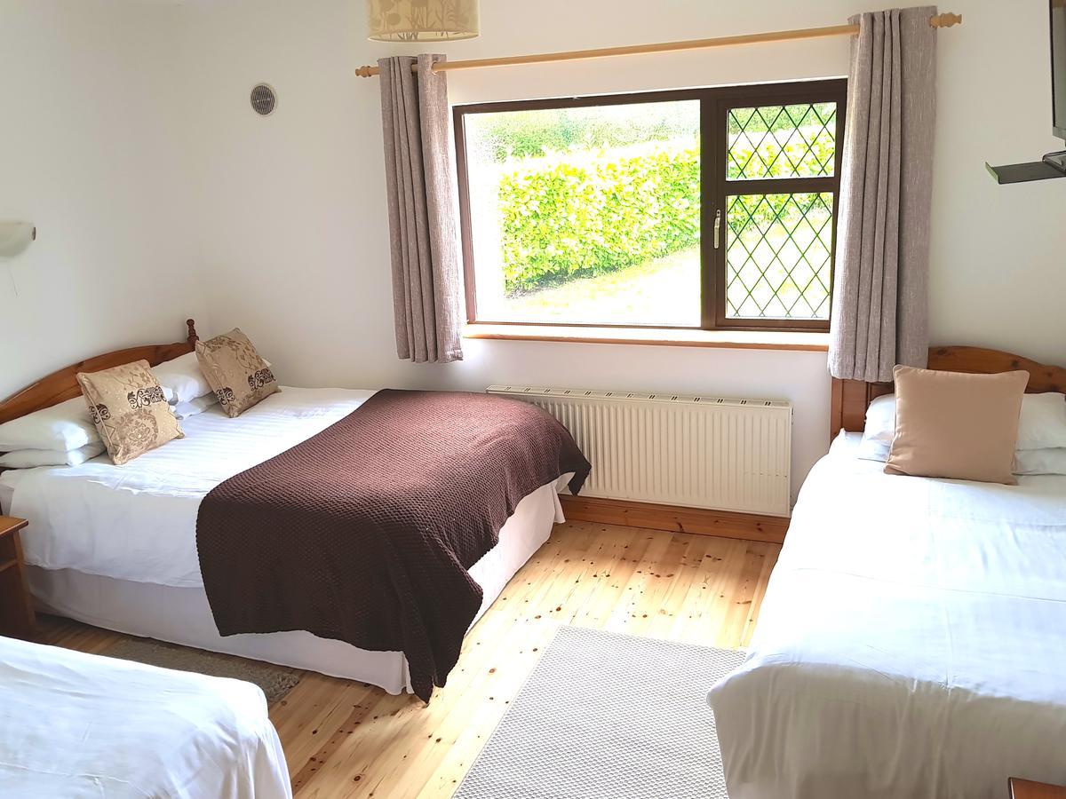 Ely House B&B Shannonbridge Esterno foto
